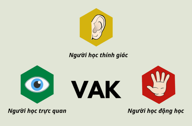 Vak là gì